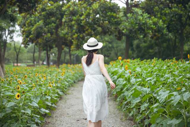 全面解析，酒店摄像头检测的重要性与实施策略-第1张图片-成都搁得平安防